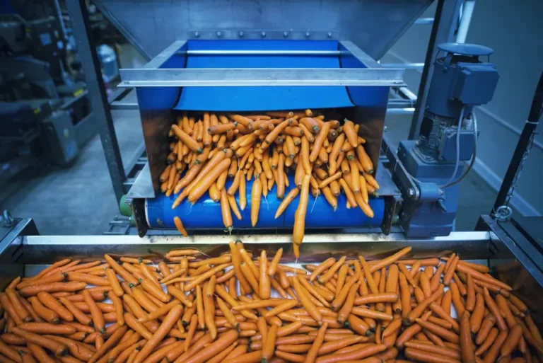 Washing & Sorting Equipment